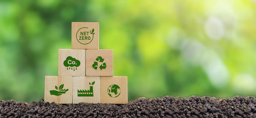The Truth About Carbon Credits Are Corporations Really Eco Friendly
