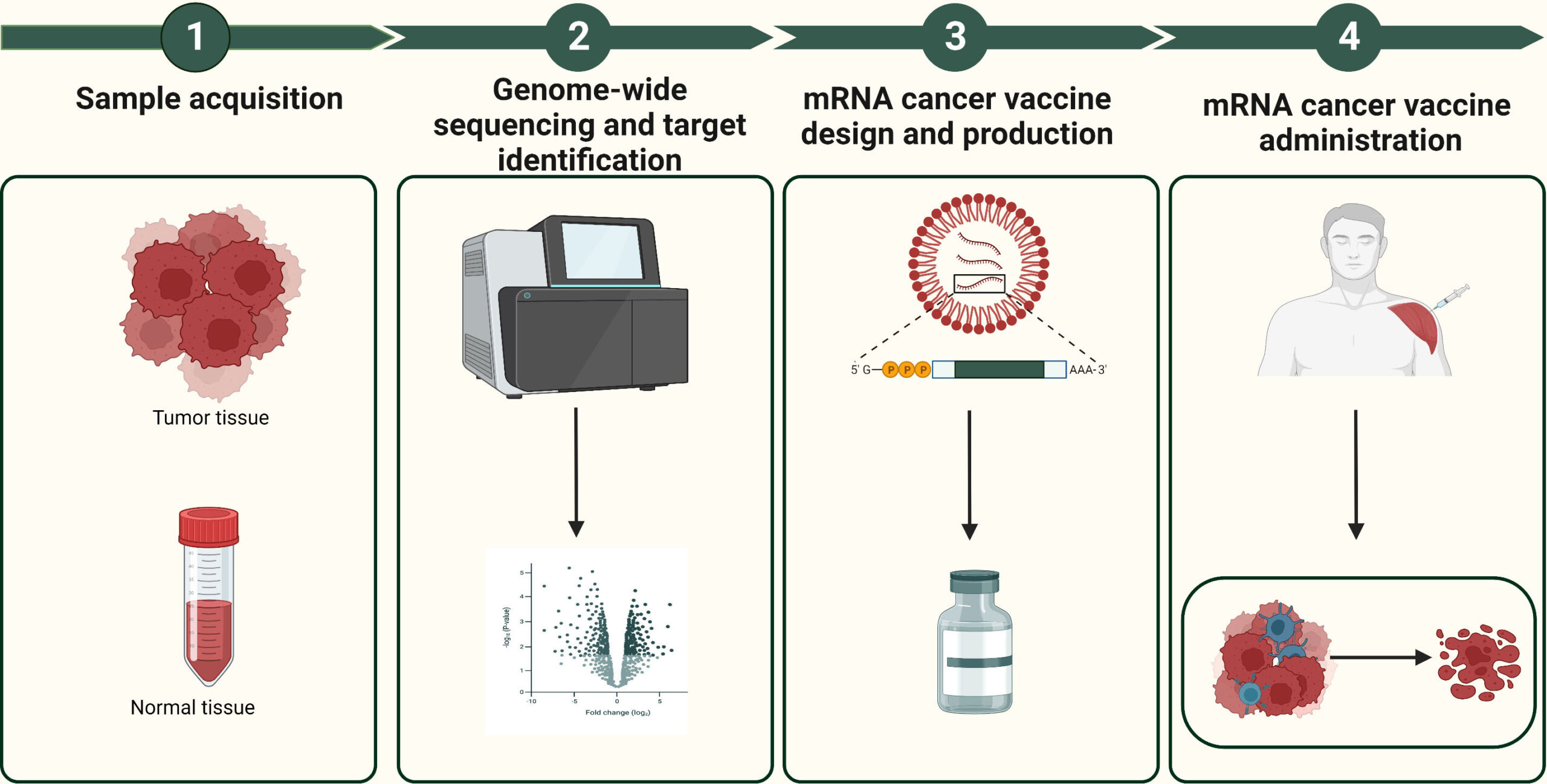 mRNA Vaccines for Cancer Latest Breakthroughs (3)